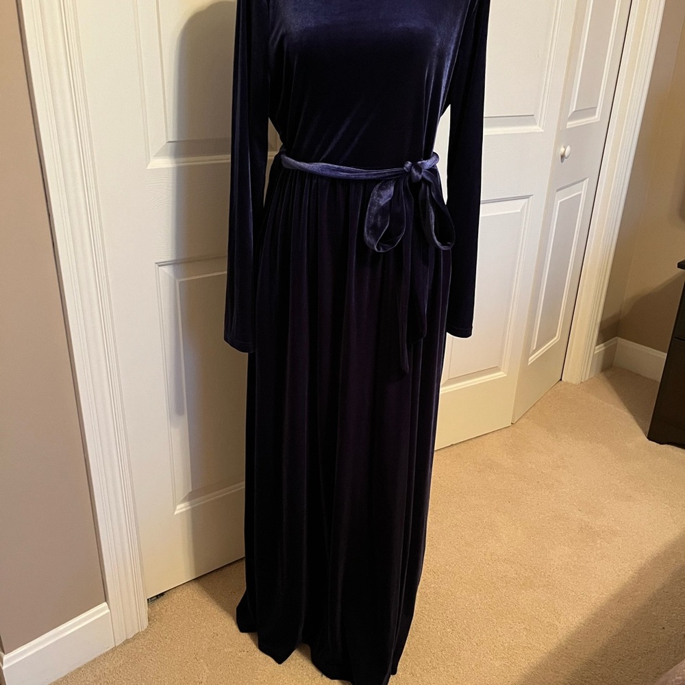 Elegant Velvet Long Sleeve Dress in Deep Blue